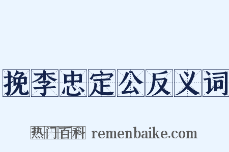 挽李忠定公反义词是什么意思的图片